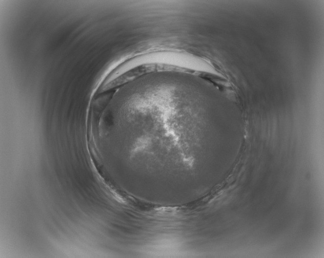 X0000053120052200507251734