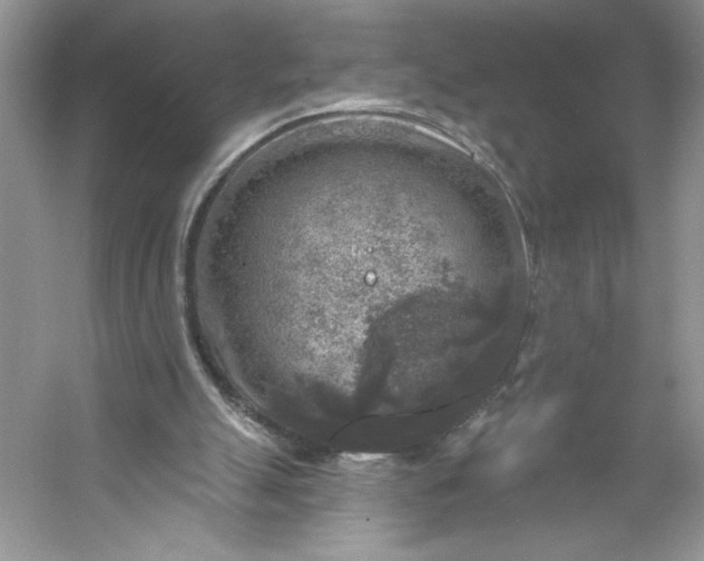 X0000053120055200507251734