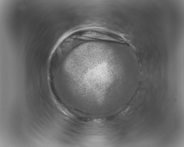 X0000053120056200507251734