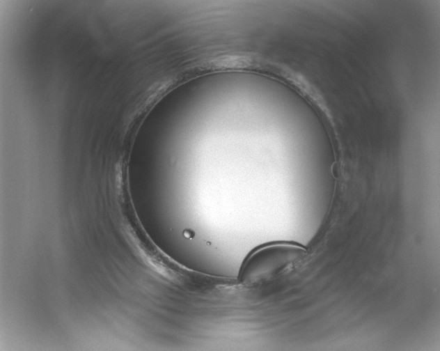 X0000053120057200507251734