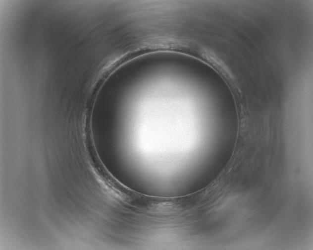 X0000053120058200507251734