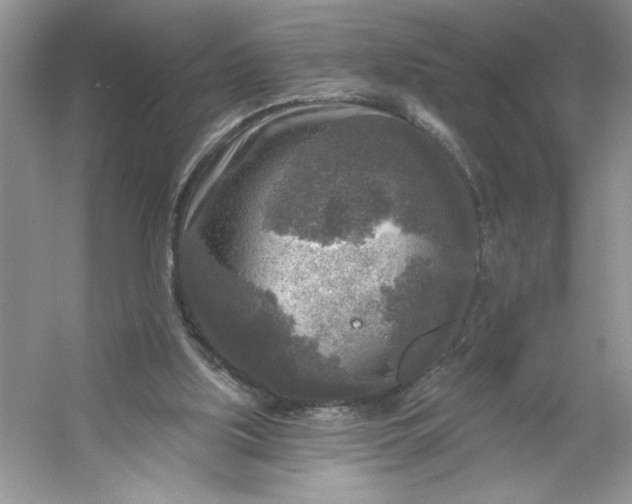 X0000053120059200507251734