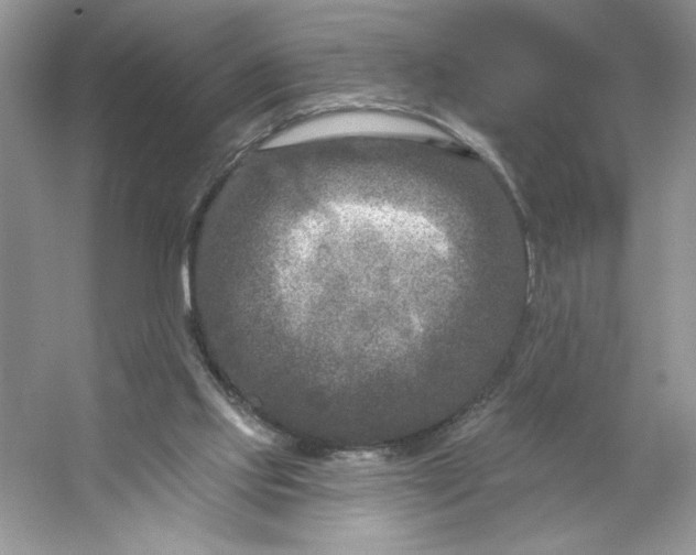 X0000053120061200507251734