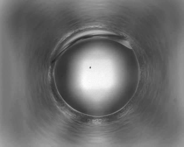 X0000053120064200507251734