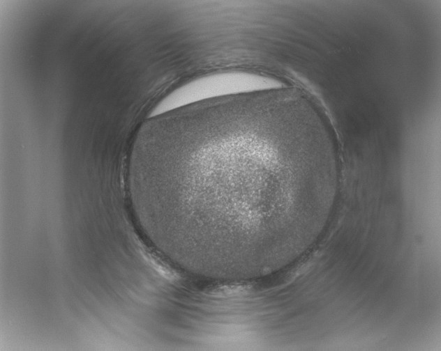 X0000053120065200507251734