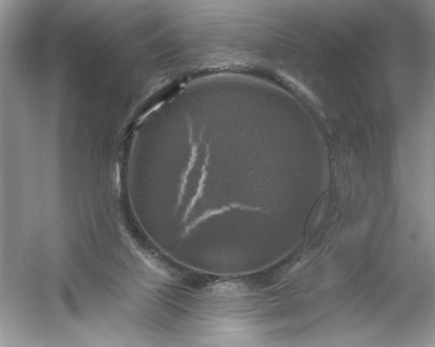 X0000053120067200507251734