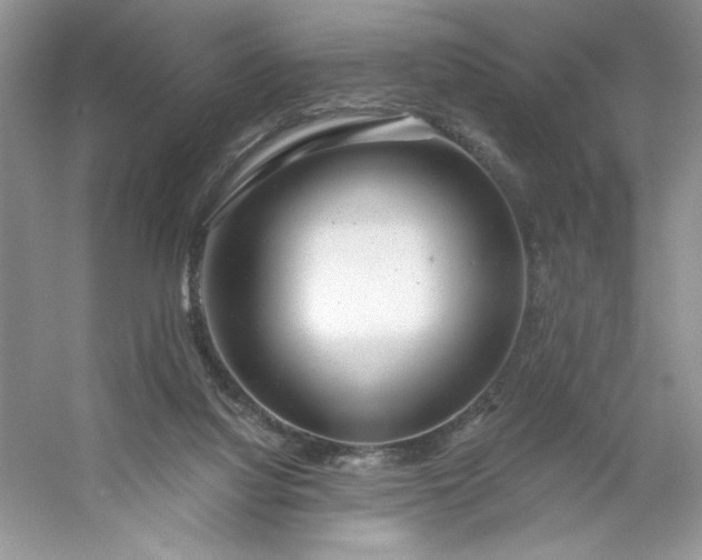 X0000053120068200507251734