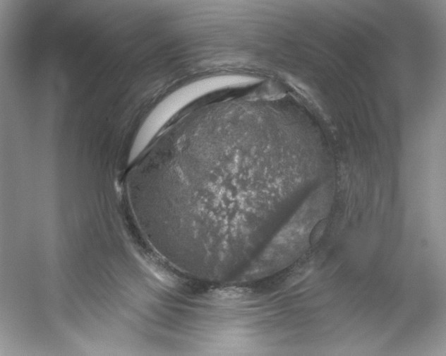 X0000053120069200507251734