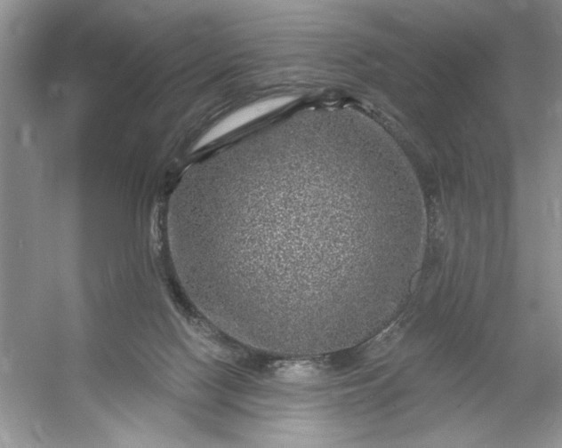 X0000053120074200507251734