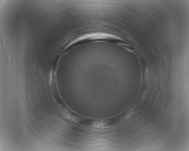 X0000053120076200507251734