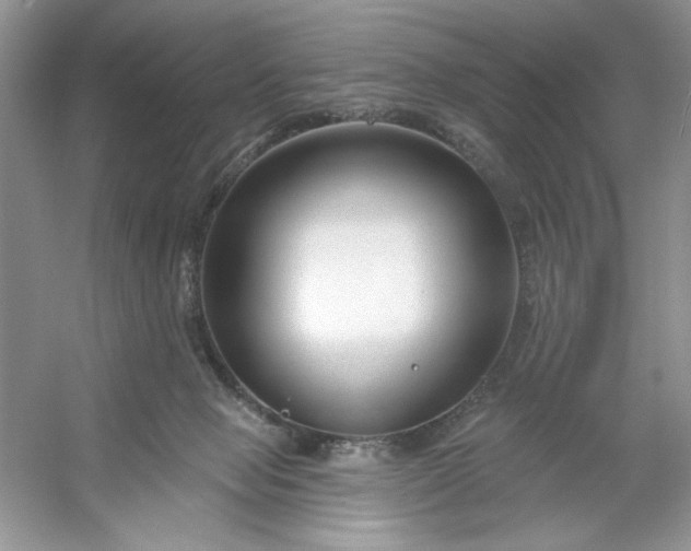 X0000053120077200507251734