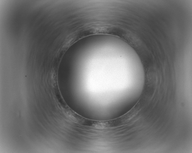 X0000053120079200507251734