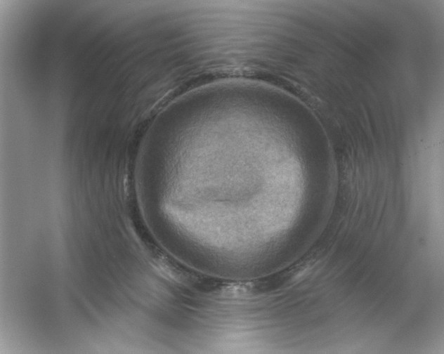 X0000053120080200507251734