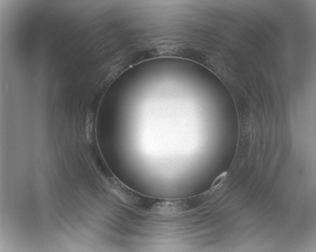 X0000053120082200507251734