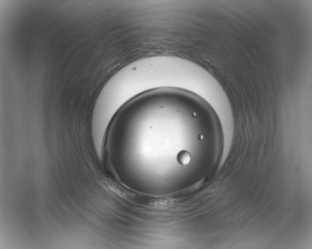 X0000053120084200507251734