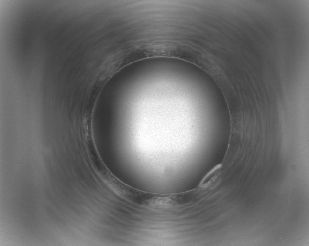 X0000053120086200507251734