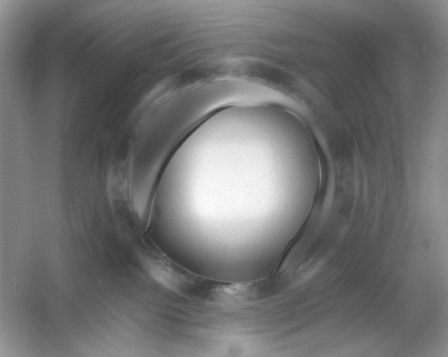 X0000053120092200507251734