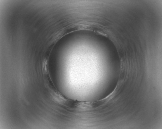 X0000053120094200507251734