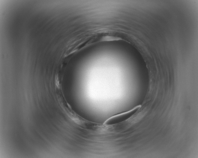 X0000053120096200507251734