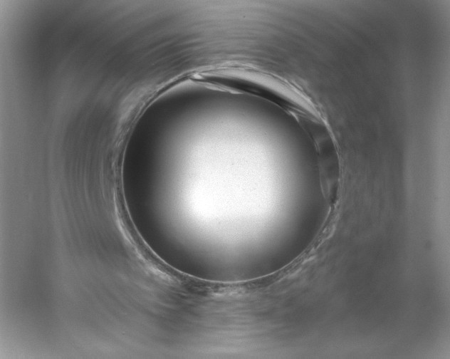 X0000053120097200507251734