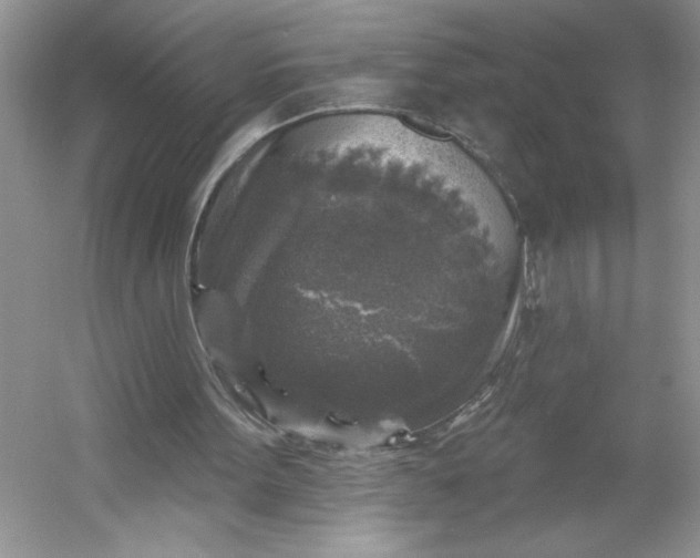 X0000053120099200507251734