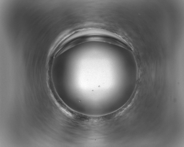 X0000053120101200507251734