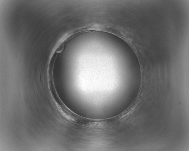 X0000053120102200507251734