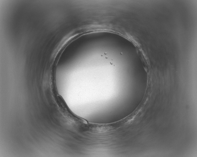 X0000053120103200507251734