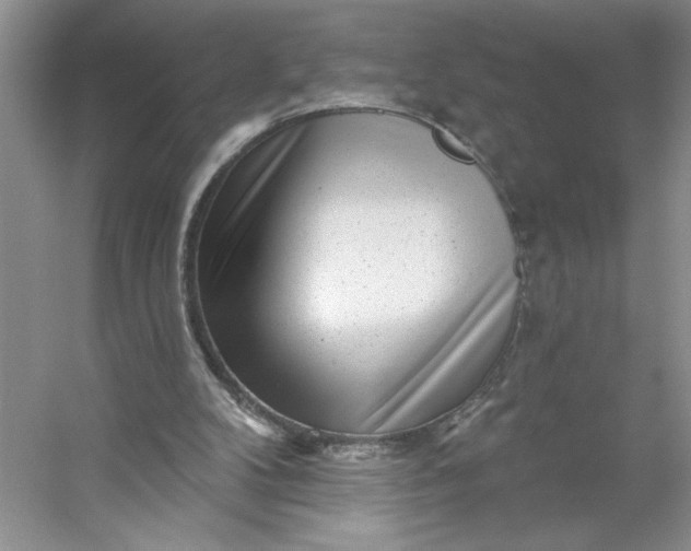 X0000053120104200507251733