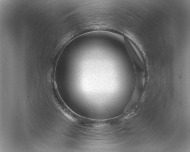 X0000053120105200507251733