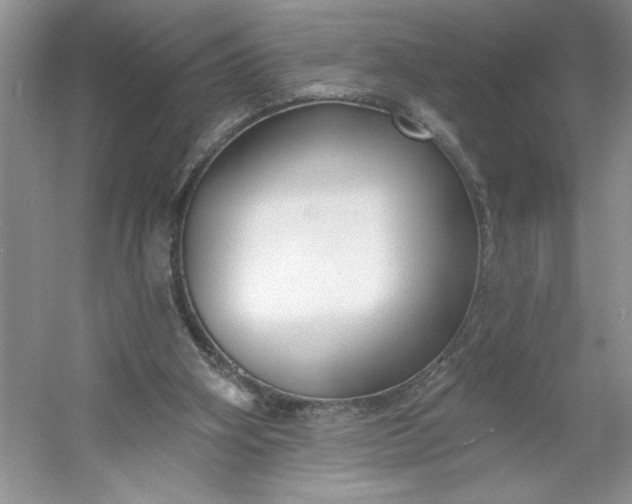 X0000053120106200507251733