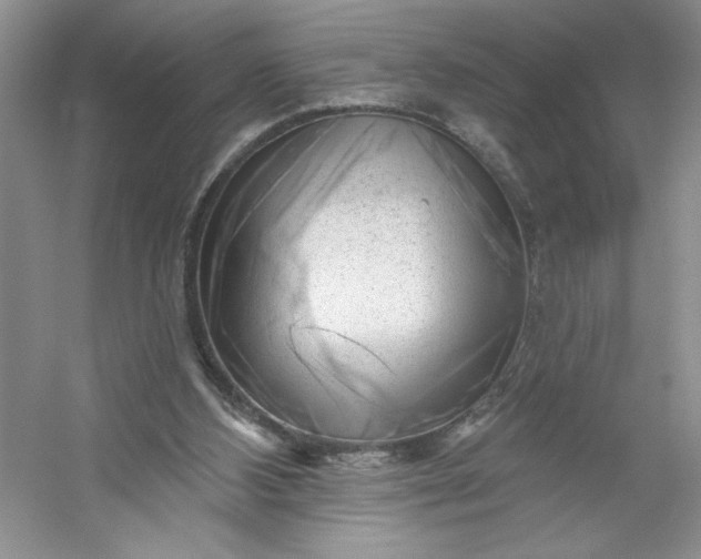 X0000053120108200507251733