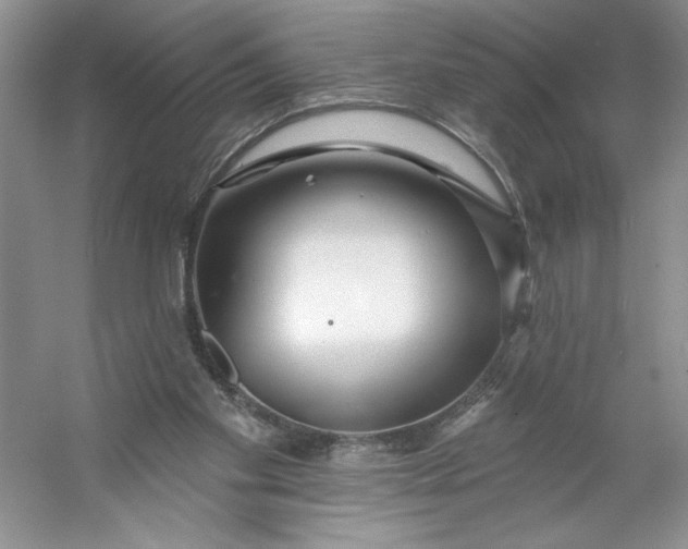 X0000053120109200507251733