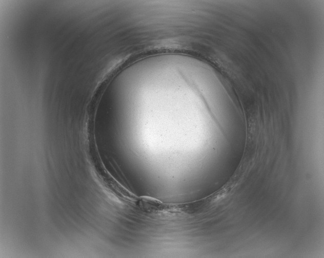 X0000053120112200507251733