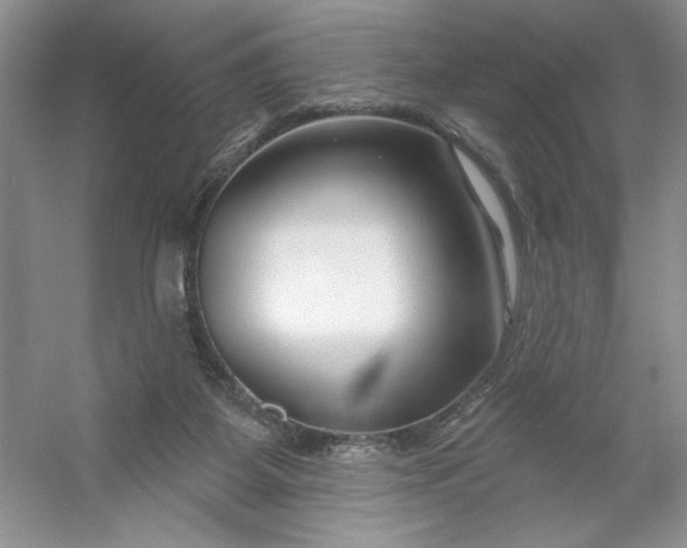 X0000053120115200507251733