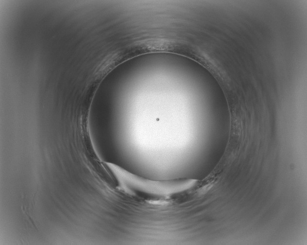 X0000053120117200507251733