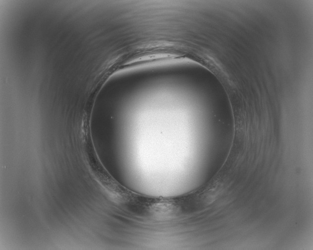 X0000053120119200507251733