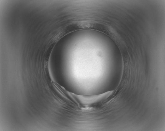 X0000053120125200507251733