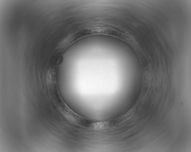 X0000053120126200507251733