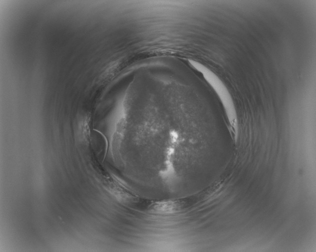 X0000053120127200507251733