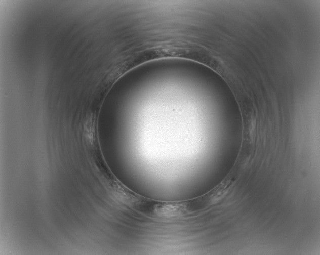 X0000053120129200507251733