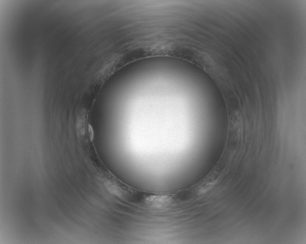 X0000053120133200507251733