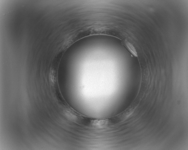 X0000053120135200507251733