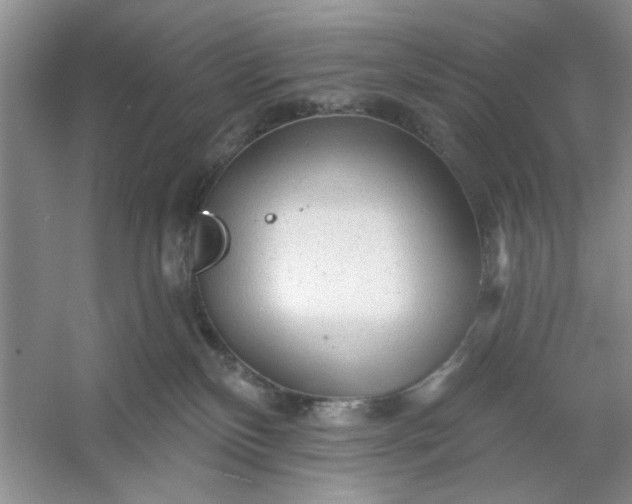 X0000053120136200507251733