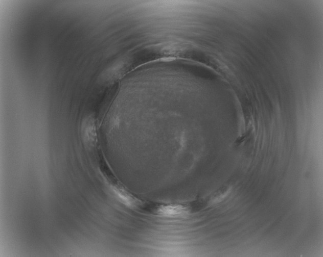 X0000053120137200507251733