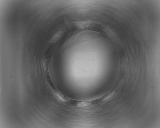 X0000053120139200507251733