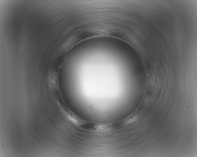 X0000053120141200507251733