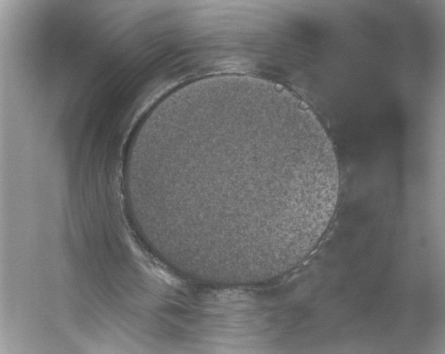 X0000053120146200507251732