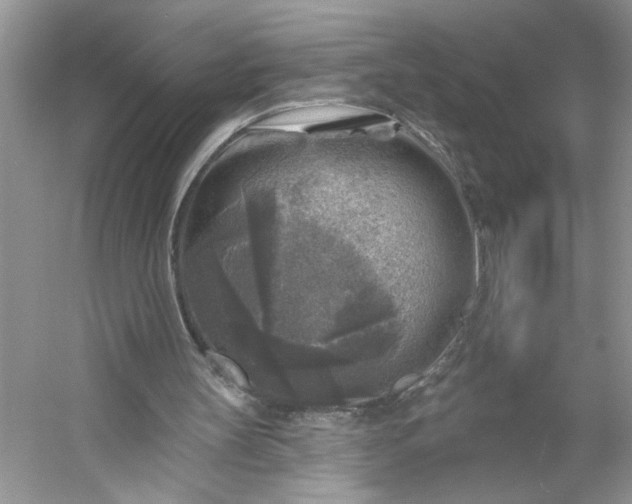 X0000053120147200507251732