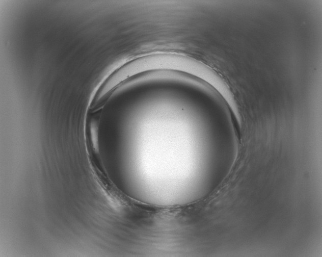 X0000053120148200507251732